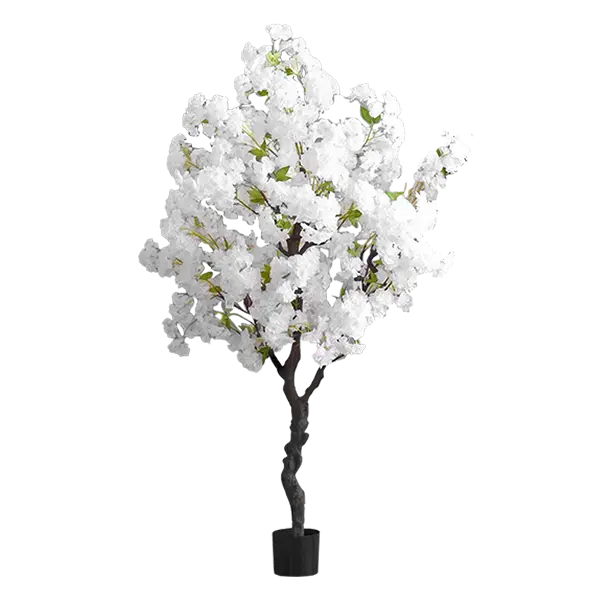 Arvore Cerejeira Branca  1.5M